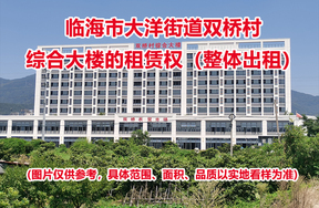 临海市大洋街道双桥村综合大楼的租赁权（整体出租）